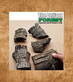 Vivarium Naturals Brand - Aged Oak Bark Pieces - 2 Pack Medium Pieces