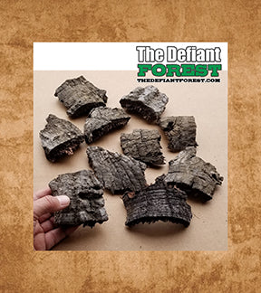 Vivarium Naturals Brand - Aged Oak Bark Pieces - 2 Pack Small Pieces