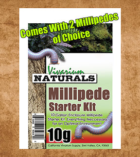 Vivarium Naturals - Small 10 Gallon Millipede Starter Kit  Comes with 2 Millipedes of your choice