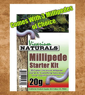 Vivarium Naturals - Large 20 Gallon Millipede Starter Kit  Comes with 3 Millipedes of your choice