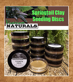 White Springtails, Folsomia candida - Live Springtail Clay Culture Seeding Discs - 200 count