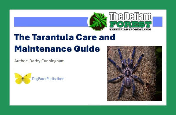 The Tarantula Care and Maintenance Guide / Free Download