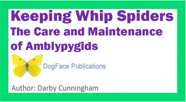 The Care and Maintenance of Whip Spiders/ Free Download